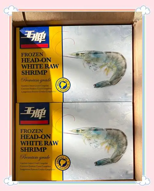 PureSama破茧在即：新版本或成XG战队冲冠最佳窗口期